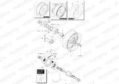 Rear Wheel Assembly