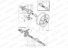 Rear Wheel Assembly