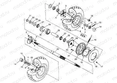 REAR WHEEL DRIVE Magnum 2X4 W967544 (4936033603C002) | REAR WHEEL DRIVE Magnum 2X4 W967544 (4936033603C002)
