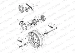 Rear Wheel & Final Drive - Newch