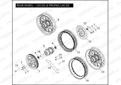 REAR WHEEL - LACED & PROFILE LACED