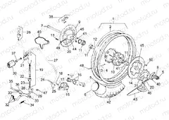 Rear wheel - Rear brake