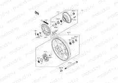 Rear Wheel/Chain