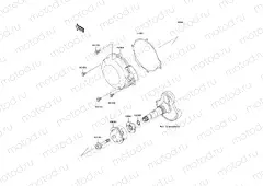 Recoil Starter