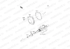 Recoil Starter
