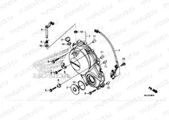 RIGHT CRANKCASE COVER