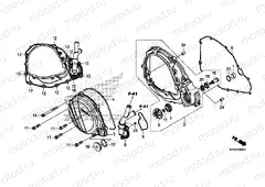 RIGHT CRANKCASE COVER / WATER PUMP