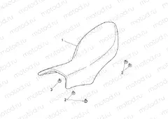 Saddle