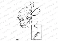 SEAT & CARRIER