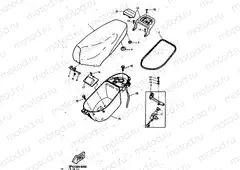 SEAT & CARRIER