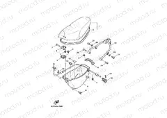 SEAT & CARRIER