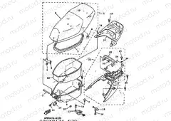 SEAT & CARRIER