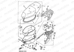 SEAT & CARRIER