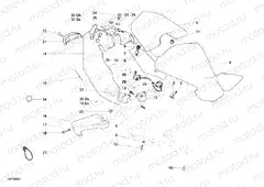 SEAT » TANK/SEAT