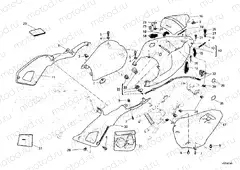 SEAT » TANK/SEAT