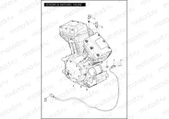 SENSORS & SWITCHES, ENGINE