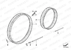 Spoke wheel rim/spoke