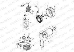 Starter & Alternator