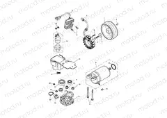 Starter & Alternator