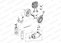 Starter & Alternator