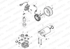 Starter & Alternator