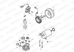 Starter & Alternator