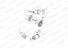 Starter & Alternator