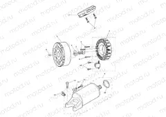 Starter & Alternator