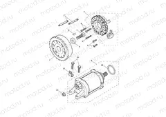 Starter & Alternator