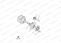 STARTER CLUTCH