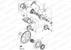 STARTER CLUTCH