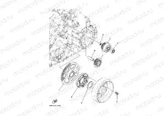 STARTER CLUTCH