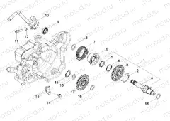 Starter / Electric starter