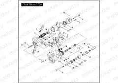 STARTER MOTOR