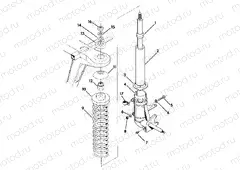 Strut Assembly (4918411841008A) | Strut Assembly (4918411841008A)