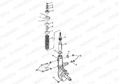 STRUT Magnum 2X4 W98AA42A (4945524552B002) | STRUT Magnum 2X4 W98AA42A (4945524552B002)