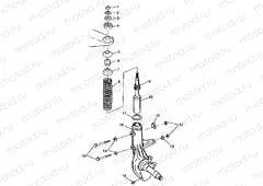 STRUT Trail Blazer W98BA25C (4945464546B001) | STRUT Trail Blazer W98BA25C (4945464546B001)