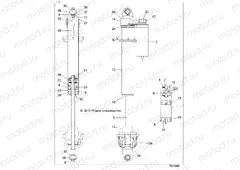SUSPENSION | SUSPENSION, FRONT SHOCK INTERNALS - Z20N4E99AC/AL/AN/BC/BL/BN/K99AF/AK/BF/BK (701949)