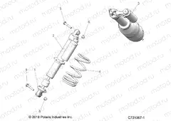 SUSPENSION | SUSPENSION, FRONT SHOCK MOUNTING - Z20ASS99C2/CH (C701067-1)