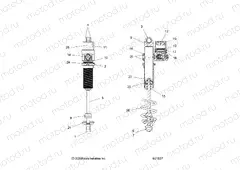 SUSPENSION | SUSPENSION, SHOCK, IFS - S21EGT8R (601537)