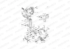 Suspension/Shock Absorber
