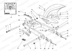 SWINGARM AND CHAIN