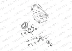 Swingarm Assembly