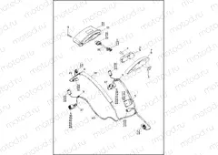 TAIL LAMP (CANADA ONLY)