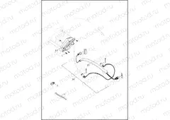 TAIL LAMP (DOMESTIC) & TURN SIGNALS, REAR