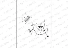 TAIL LAMP (EXCEPT CANADA) AND TURN SIGNAL, REAR
