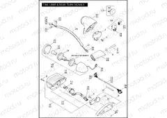 TAIL LAMP & REAR TURN SIGNALS (1 OF 2)
