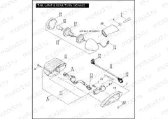 TAIL LAMP & REAR TURN SIGNALS