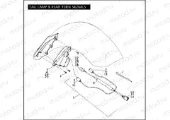 TAIL LAMP & REAR TURN SIGNALS