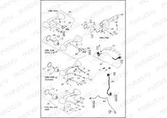 TAIL LAMP & TURN SIGNALS, REAR (1 OF 2)